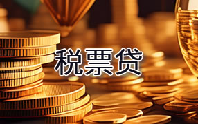 玉林税票贷